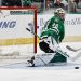 NHL Picks Today 12/20/21 - Stars Look to Avenge Earlier Loss to Wild